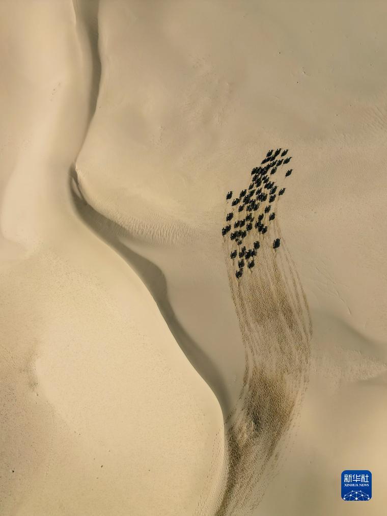 永利棋牌平台